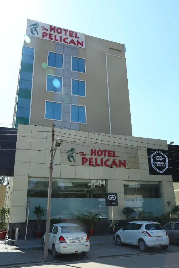 The Pelican Chandigarh