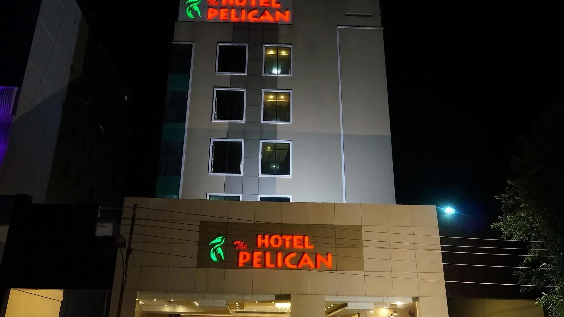 The Pelican Chandigarh